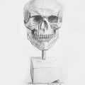 Alexander R Delhougne- gips skull 2
